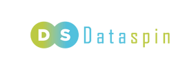 Dataspin, hayati derecede öneme sahip hassas verileri tek bir platformda korumayı ve maskelemeyi sağlıyor.