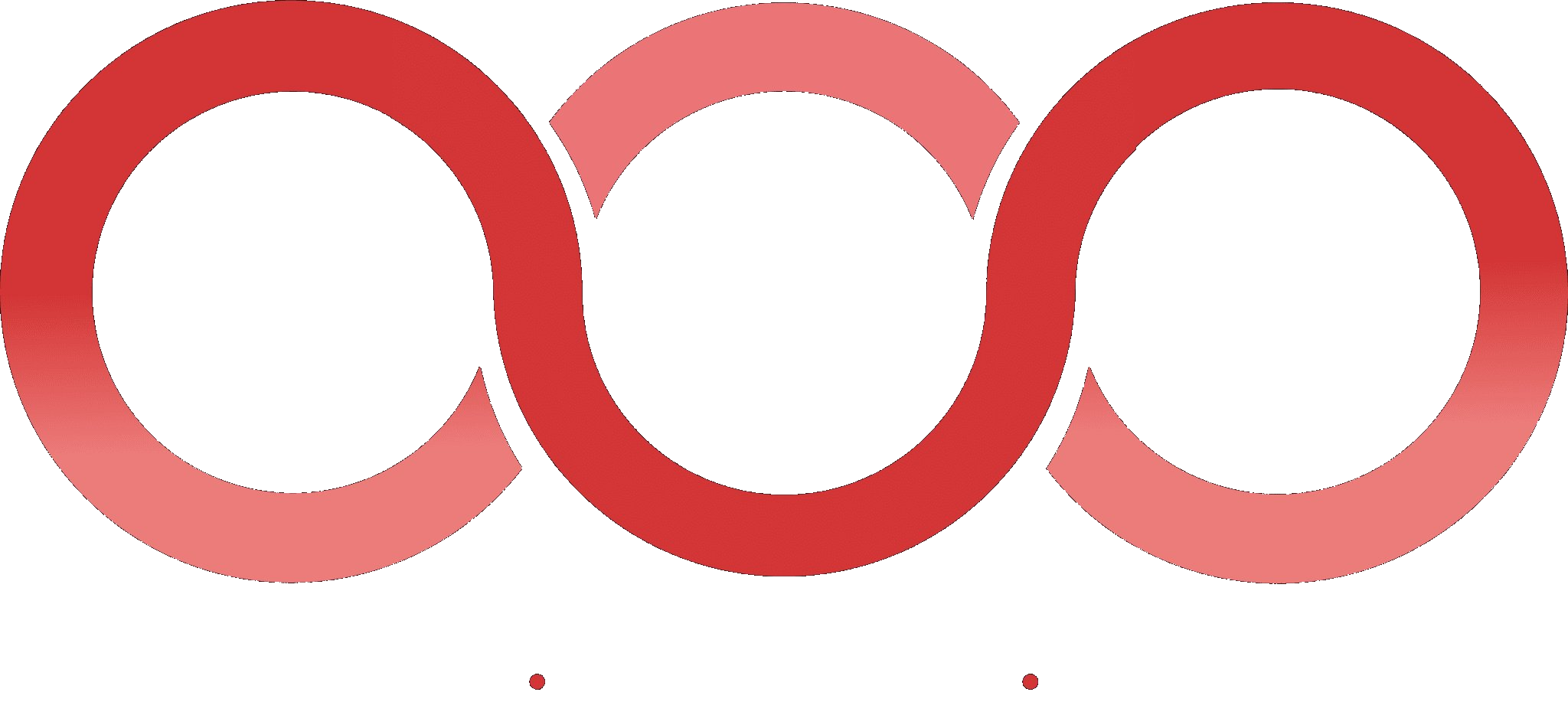 NSS Network Security Solution